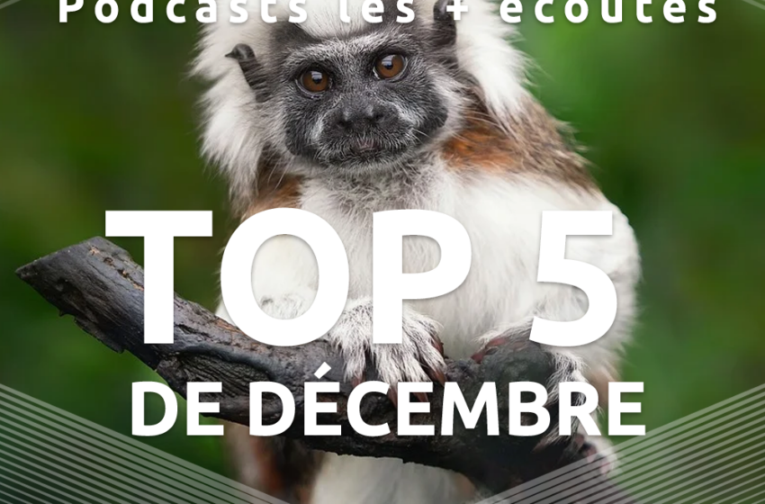  Podcasts les + écoutés sur Francaisdanslemonde.fr !