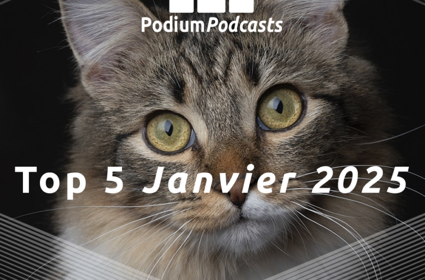 Les 5 podcasts les plus écoutés en Janvier 2025