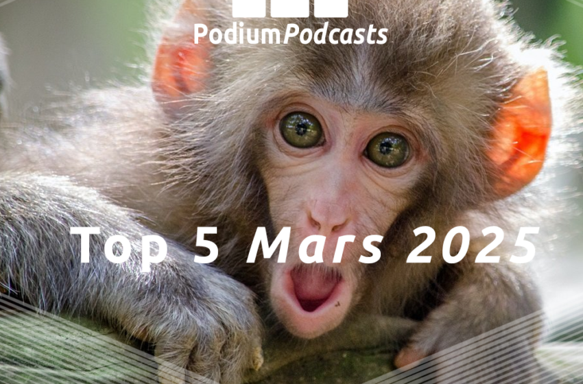  Les 5 podcasts les plus écoutés en Mars 2025