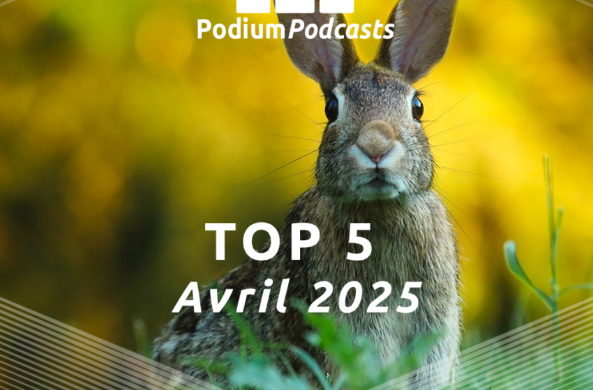  Les 5 podcasts les plus écoutés en Avril 2025