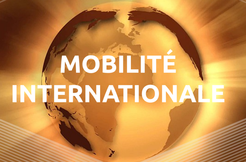  Mobilité internationale